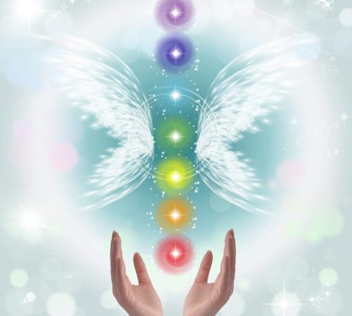 WhatsApp Image 2023-08-19 at 08.39.40 (1)